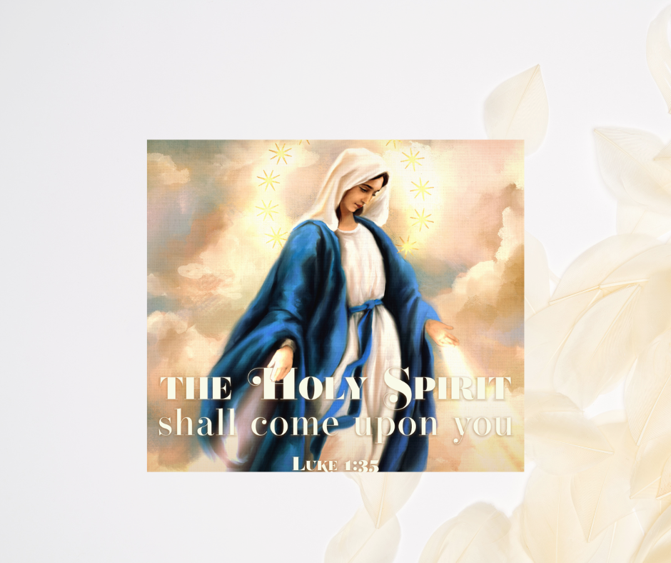 The Solemnity of the Immaculate Conception of the Blessed Virgin
